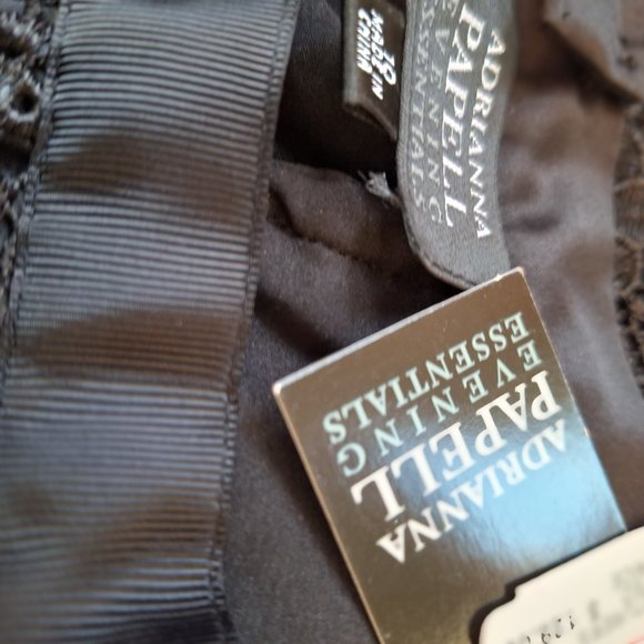 Black Skirt w/ Lace Overlay Adrianna Papell Evening Essentials Lord & Taylor NWT - Picture 7 of 9